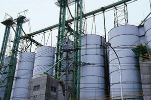 伝統技術の箔押しを実施する専門会社