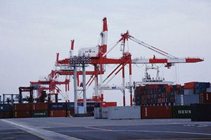 超低温ストッカーならネットで購入できます