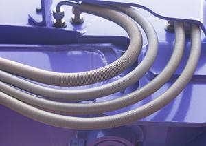 体細胞変異解析のおもな特徴について